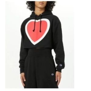 champion reverse weave hoodie